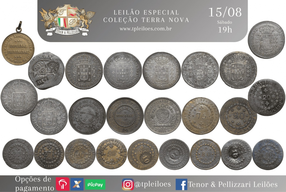 Leilão Especial - Coleção Terra Nova