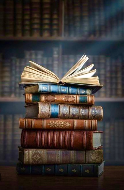 NOVO ACERVO DE COLECIONADOR:  LIVROS DE ARTE, RAROS E MILITARIA , VINIL, CINEMA E COLECIONISMO.